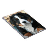 Beautiful Bernese Mountain Dog Notizblock (Rechte Seite)