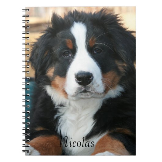 Beautiful Bernese Mountain Dog Notizblock (Vorderseite)