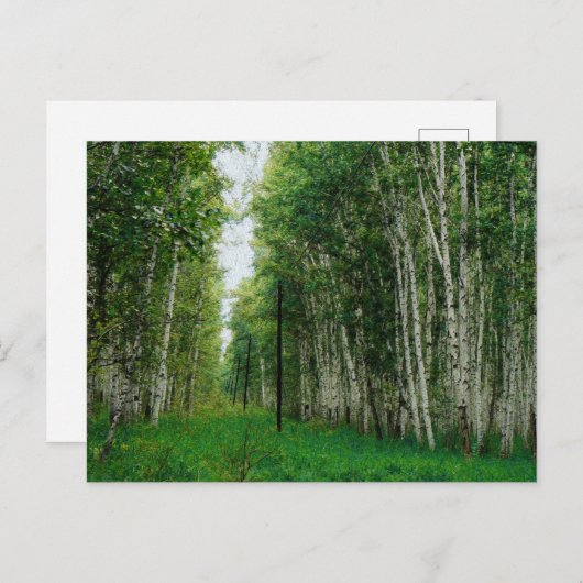 Beautiful Birch Tree Forest Canvas Print Postkarte (Vorne/Hinten)