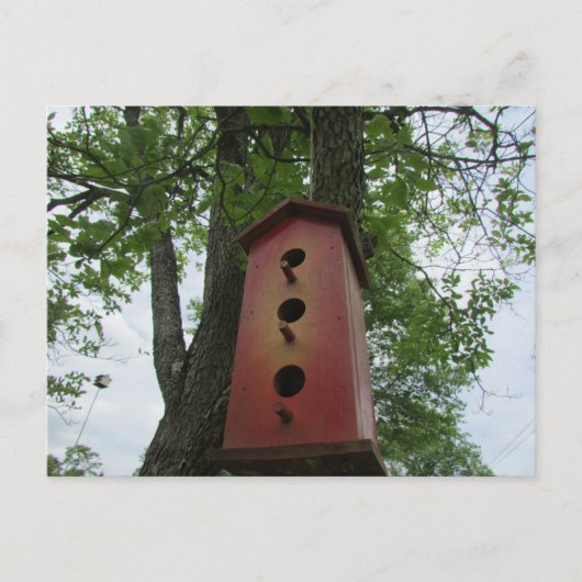 Beautiful Bird House Hanging From the Tree Postkarte (Vorderseite)