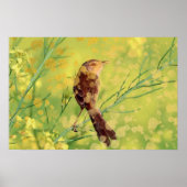 Beautiful Bird Poster (Vorne)