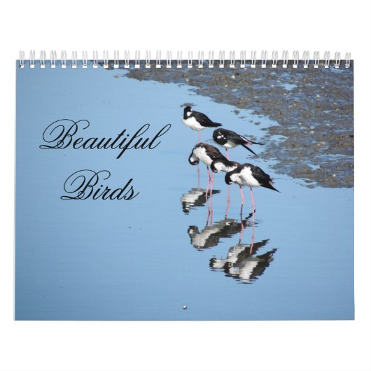 Beautiful Birds Calendar Kalender (Titelbild)