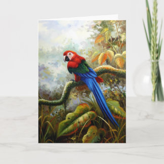 beautiful birds greeting cards 06 karte