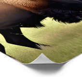 Beautiful Bison Poster (Ecke)