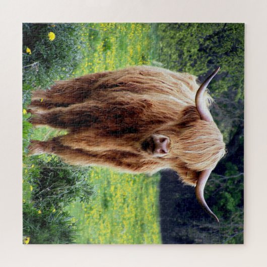 Beautiful Bison Puzzle (Horizontal)