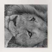 Beautiful Black and White Lion Face Puzzle (Horizontal)