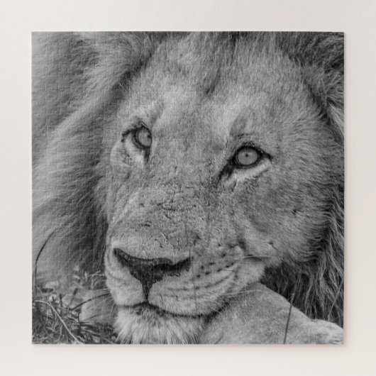 Beautiful Black and White Lion Face Puzzle (Vertikal)