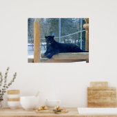 Beautiful Black Jaguar Poster (Küche)