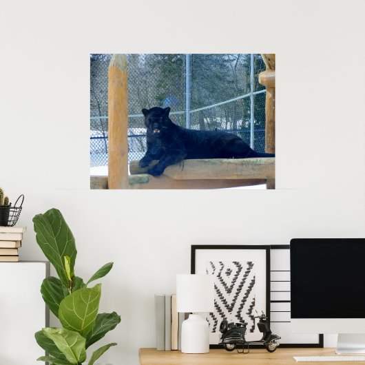 Beautiful Black Jaguar Poster (Heimbüro)