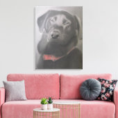 "Beautiful Black Labrador" Holzkohle Zeichnend Leinwanddruck (Insitu (Wohnzimmer))