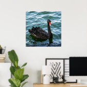 Beautiful Black Swan Poster (Heimbüro)