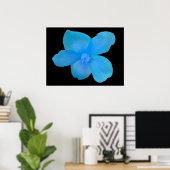 Beautiful Blue Begonia Blumen Print Poster (Heimbüro)