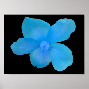 Beautiful Blue Begonia Blumen Print Poster