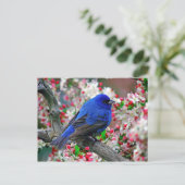 Beautiful Blue Bird Postkarte (Stehend Vorderseite)