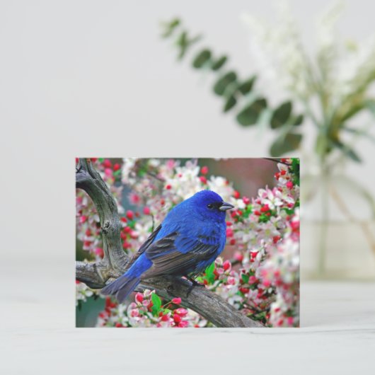 Beautiful Blue Bird Postkarte (Stehend Vorderseite)