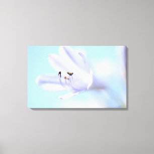 Beautiful Blue Blume Stretched Canvas Print Leinwanddruck