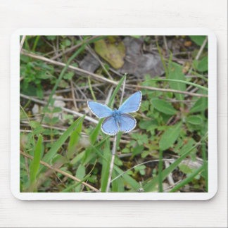Beautiful Blue Butterfly Mousepad