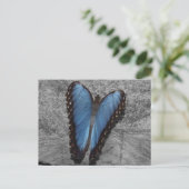 Beautiful Blue Butterfly Postkarte (Stehend Vorderseite)