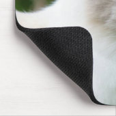 Beautiful Blue Eyed Kitten Mousepad (Ecke)