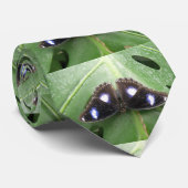 Beautiful Blue Gepunktet Butterfly Krawatte (Gerollt)