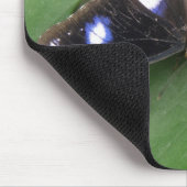Beautiful Blue Gepunktet Butterfly Mousepad (Ecke)