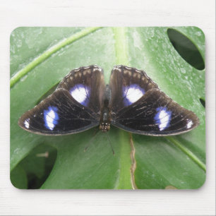 Beautiful Blue Gepunktet Butterfly Mousepad