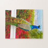 Beautiful Blue Green Peacock Foto Stilvoll Chic Puzzle (Horizontal)