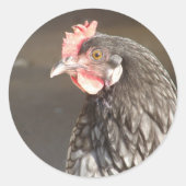 Beautiful Blue Hen Runder Aufkleber (Vorderseite)