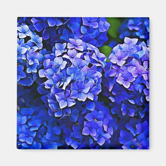 Beautiful Blue Hydrangea Blume Floral Art Magnet (Vorne)