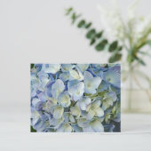 Beautiful Blue Hydrangea Blume Foto Postkarte (Stehend Vorderseite)