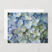 Beautiful Blue Hydrangea Blume Foto Postkarte (Vorne/Hinten)