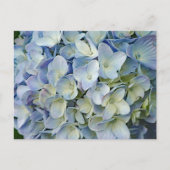 Beautiful Blue Hydrangea Blume Foto Postkarte (Vorderseite)