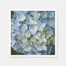 Beautiful Blue Hydrangea Blume Foto