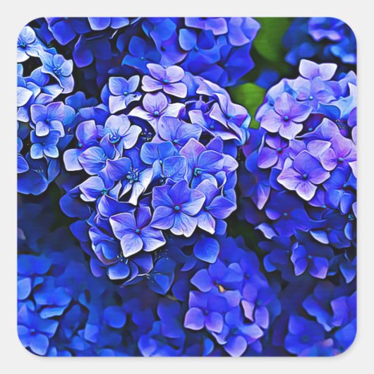 Beautiful Blue Hydrangea Blume Stickers (Vorderseite)