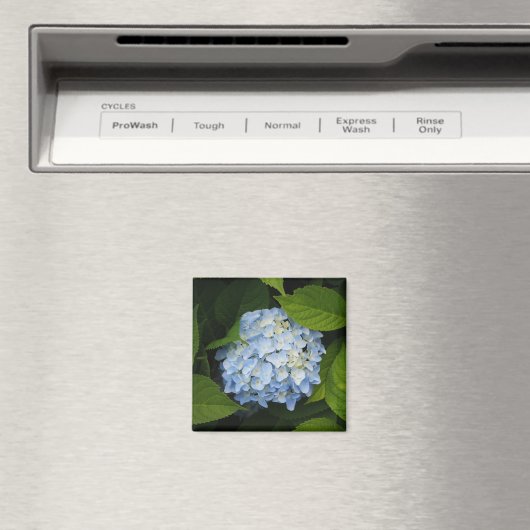 Beautiful Blue Hydrangea Floral Foto Magnet (In Situ (Geschirrspüler))