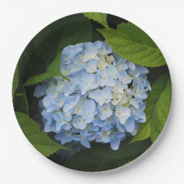 Beautiful Blue Hydrangea Floral Foto Pappteller