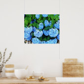 Beautiful Blue Hydrangeas Poster (Küche)