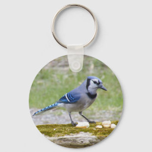Beautiful Blue Jay bird Schlüsselanhänger