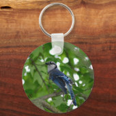 Beautiful Blue Jay bird Schlüsselanhänger (Vorderseite)