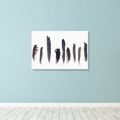 Beautiful Blue Jay Feathers Leinwanddruck (Insitu (Holzboden))