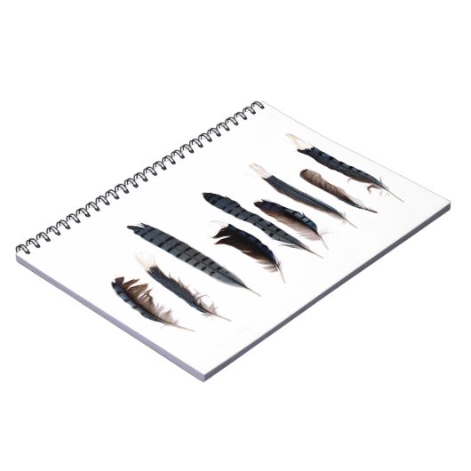 Beautiful Blue Jay Feathers Notizblock (Linke Seite)