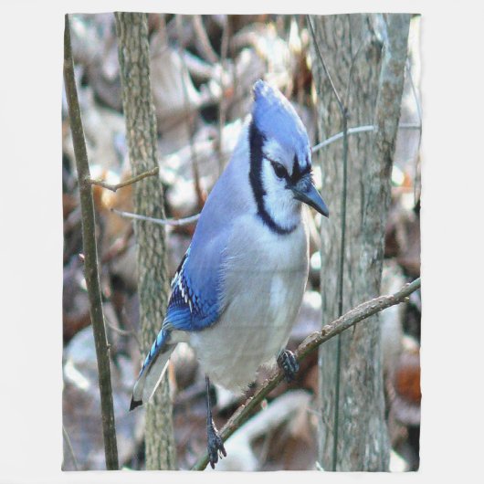 Beautiful Blue Jay Fleecedecke (Vorderseite)