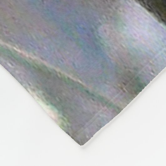 Beautiful Blue Jay Fleecedecke (Ecke)