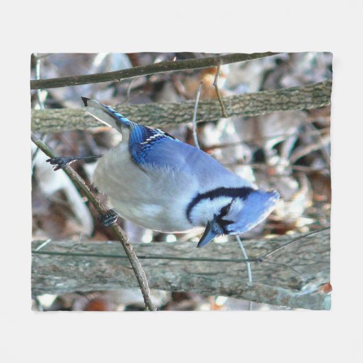 Beautiful Blue Jay Fleecedecke (Vorderseite (Horizontal))
