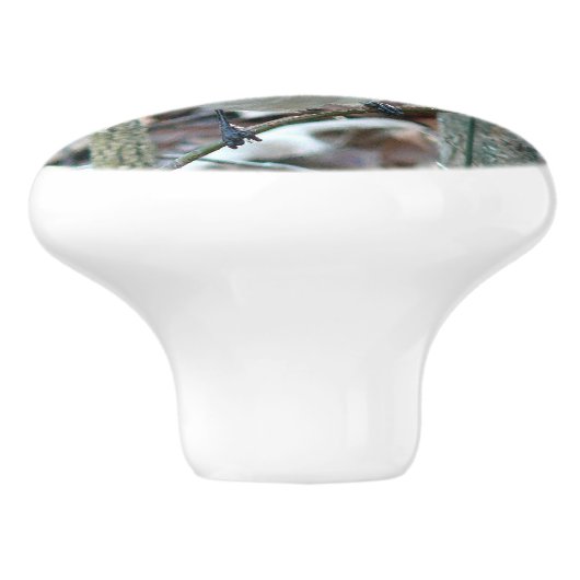 Beautiful Blue Jay Keramikknauf (Seitenansicht)