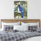 Beautiful Blue Jay Leinwanddruck (Insitu (Schlafzimmer))
