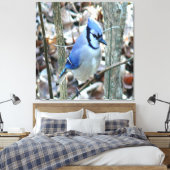 Beautiful Blue Jay Leinwanddruck (Insitu (Schlafzimmer))
