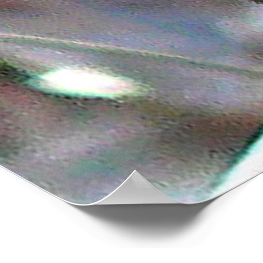 Beautiful Blue Jay Poster (Ecke)