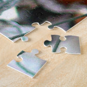 Beautiful Blue Jay Puzzle (Seite)
