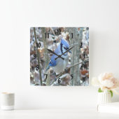 Beautiful Blue Jay Quadratische Wanduhr (Zuhause)